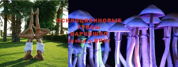 дурь Алексеевка